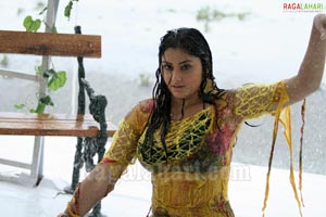 Namitha Photo Gallery