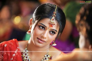 Priyamani Photo Gallery from Pravarakhyudu