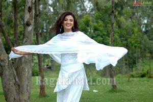 Suhasi Photo Gallery