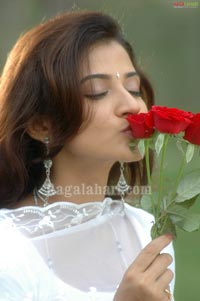 Suhasi Photo Gallery