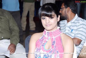 Tashu Kaushik Photo Gallery