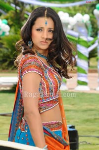 Trisha Photo Gallery