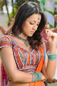 Trisha Photo Gallery