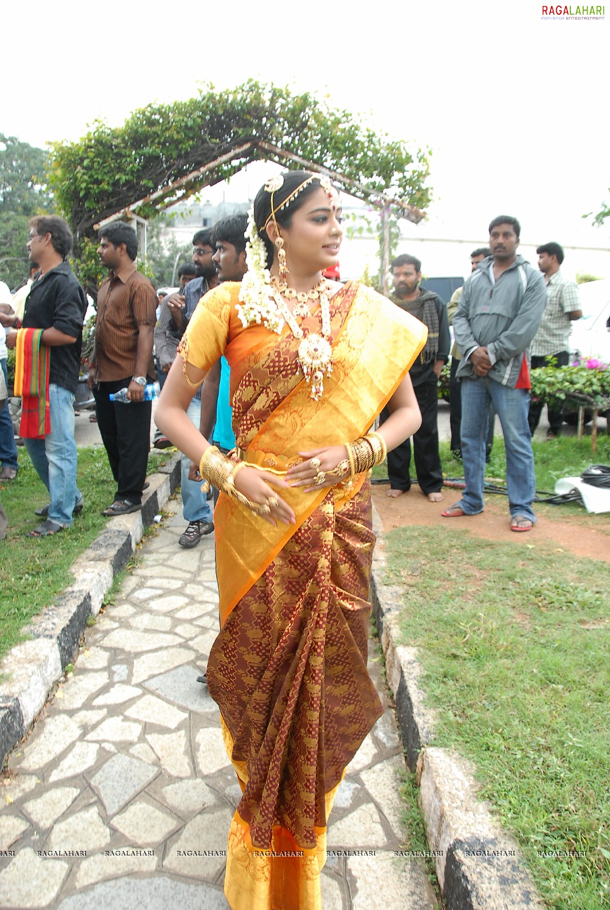 Priyamani in Yellow Saree, HD Gallery, Images