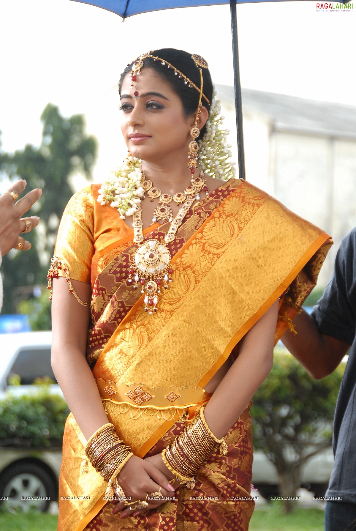 Priyamani in Yellow Saree, HD Gallery, Images