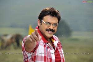 Venkatesh