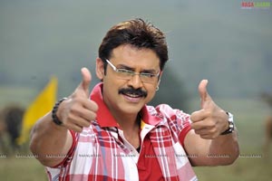 Venkatesh Photo Gallery from Nagavalli