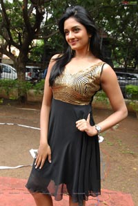 Vimala Raman at Nagavalli Logo Launch