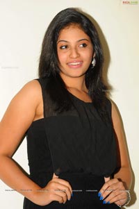 Anjali at Journey Audio Release
