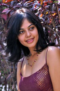 Bindu Madhavi