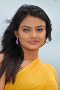 Nikitha Narayan