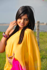 Nikitha Narayan