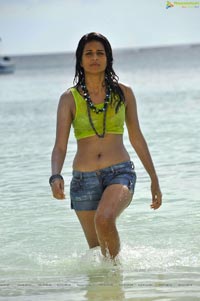 Shraddha Das in Jean Short and Bikini Top