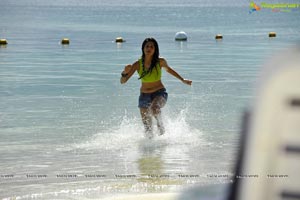 Shraddha Das in Jean Short and Bikini Top