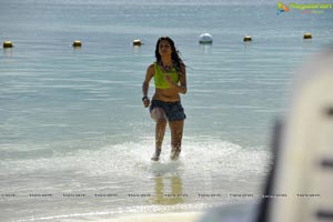 Shraddha Das in Jean Short and Bikini Top