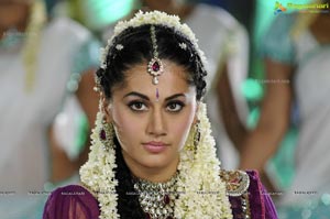 Taapsee in Purple Lehanga Choli