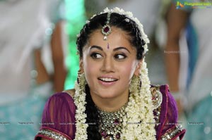 Taapsee in Purple Lehanga Choli