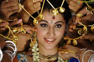 Taapsee Marriage Photos