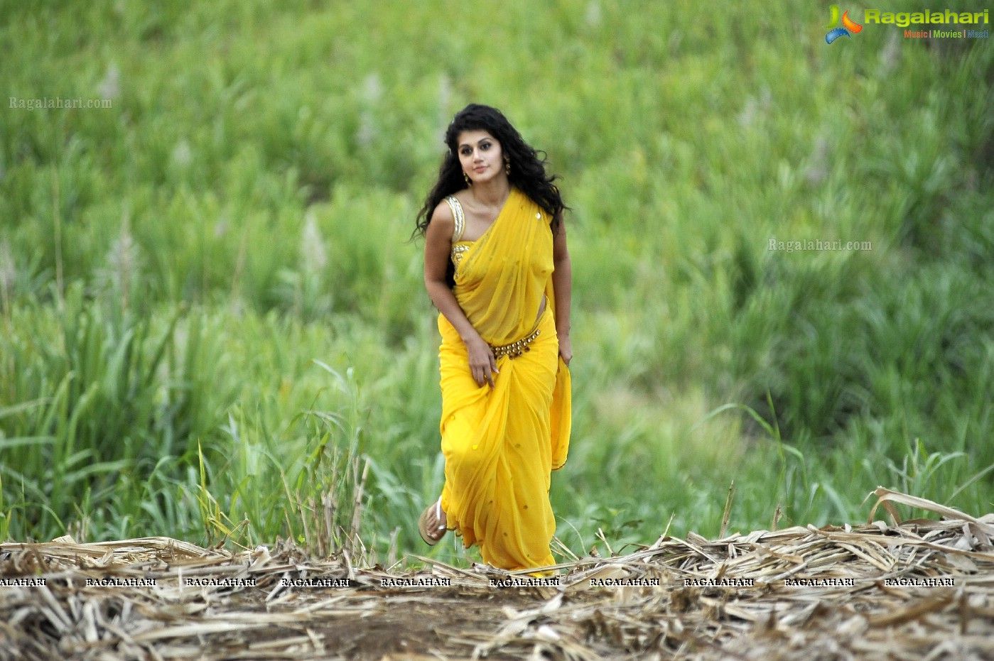 Taapsee (Posters)