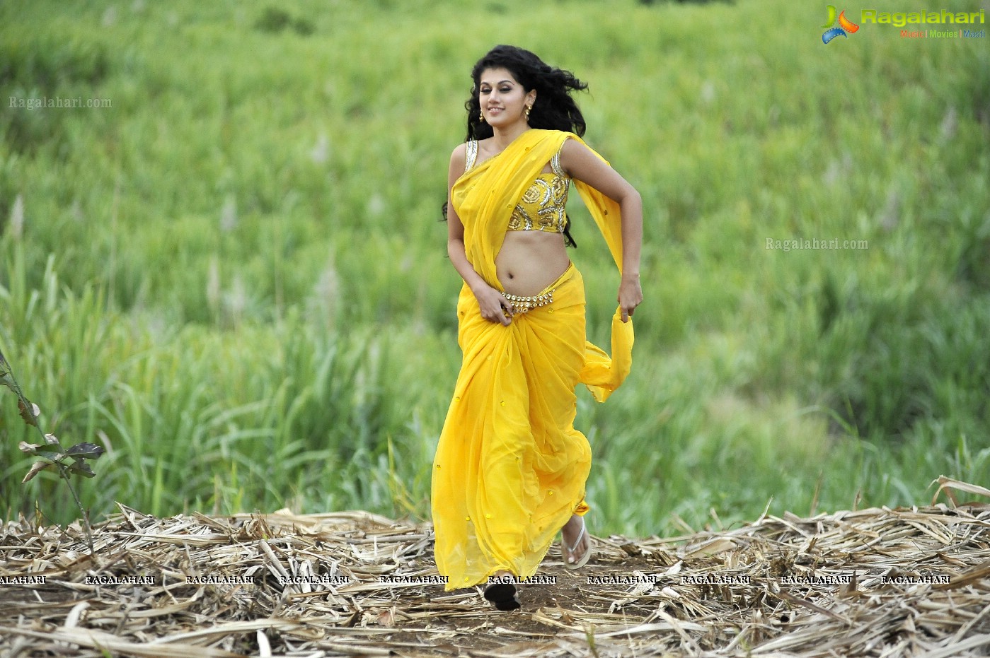 Taapsee (Posters)