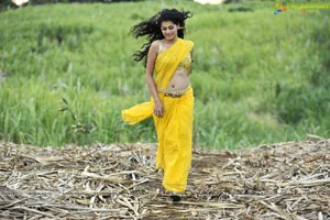 Taapsee in Hot Modern Low Rise Saree