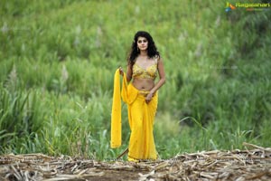 Taapsee in Hot Modern Low Rise Saree