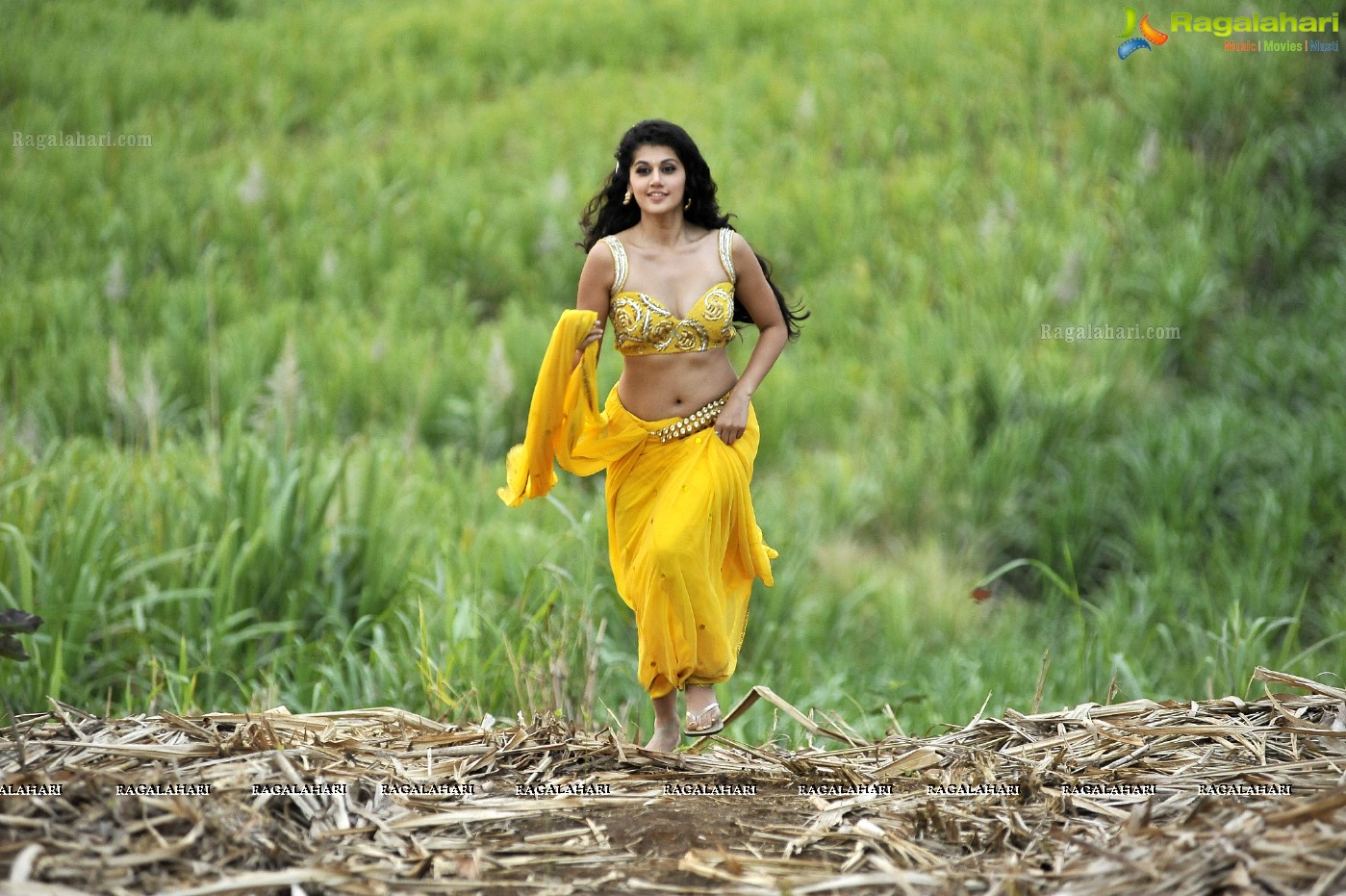 Taapsee (Posters)