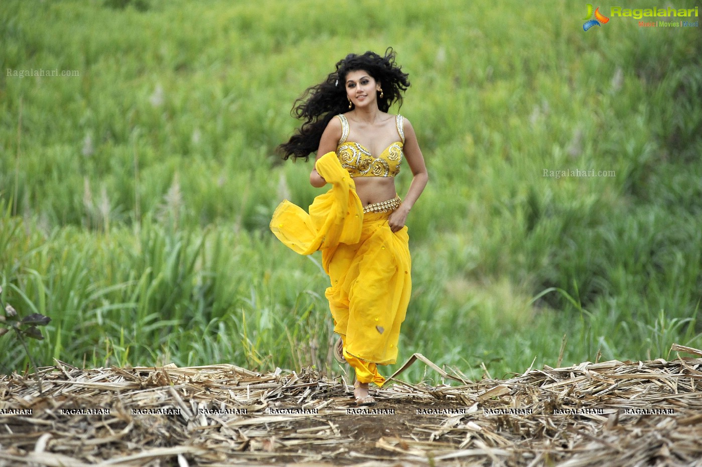 Taapsee (Posters)