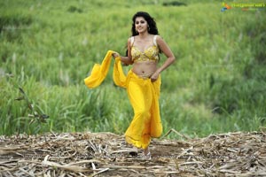 Taapsee in Hot Modern Low Rise Saree