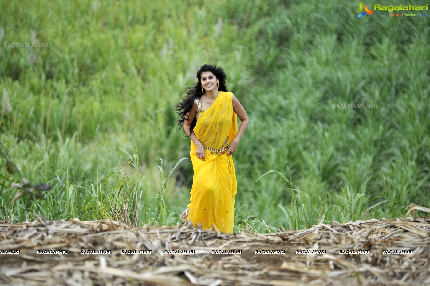 Taapsee (Posters)