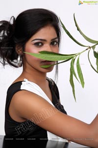 Telugu Model Debbie Hot Photos