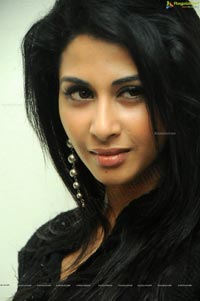 Telugu Heroine Gayatri Iyer