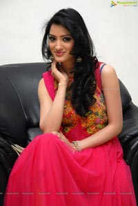 Richa Panai @ Yamudiki Mogudu Audio Release