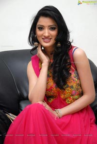 Richa Panai @ Yamudiki Mogudu Audio Release