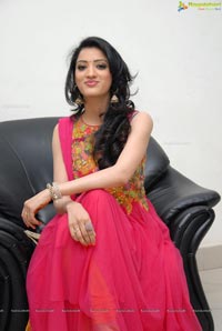 Richa Panai @ Yamudiki Mogudu Audio Release