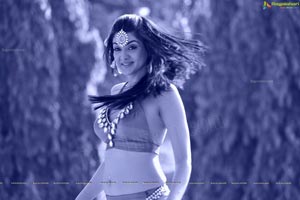 Sakshi Choudhary Wallpapers