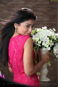 Kollywood Actress Shriya Saran