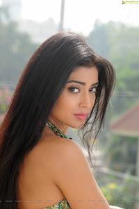 Kollywood Actress Shriya Saran