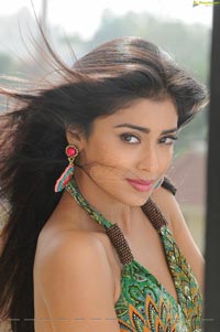 Kollywood Actress Shriya Saran