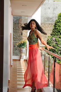 Kollywood Actress Shriya Saran