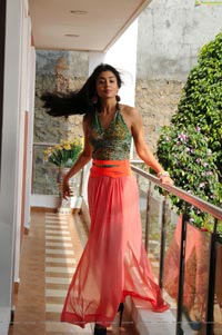 Kollywood Actress Shriya Saran