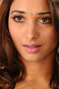 Tamanna Hot in Saree Images