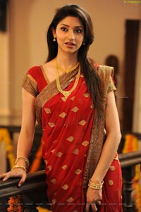 Tanvi Vyas in Hot Red Saree