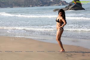 Seethal Sidge Beach Pics