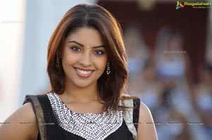 Richa Gangopadhyay Hot in Saree Photos