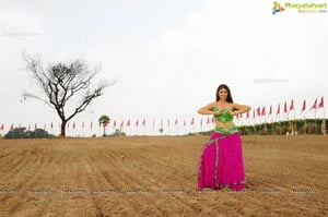 Richa Gangopadhyay Hot in Saree Photos