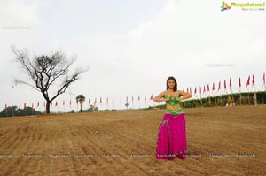 Richa Gangopadhyay Hot in Saree Photos