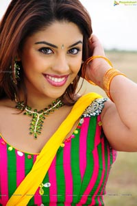 Richa Gangopadhyay Hot in Saree Photos