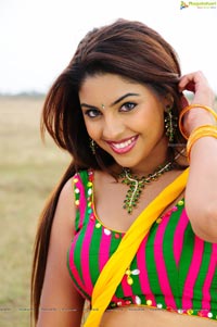 Richa Gangopadhyay Hot in Saree Photos