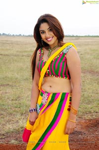 Richa Gangopadhyay Hot in Saree Photos